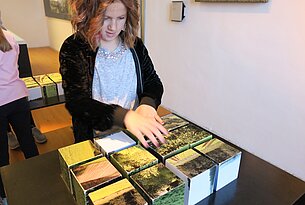 Was haben Kartoffeln, Käferbohnen, Kürbisse, Mais und Flachs gemeinsam?