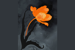 Rundgang zur Ausstellung "Markus Huemer"