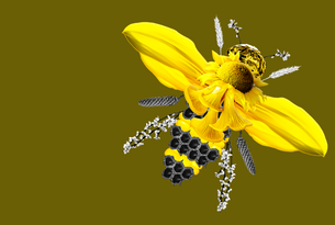 STEIERMARK SCHAU 2023: Vielfalt des Lebens