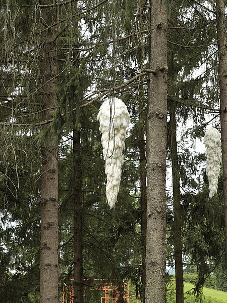 The work consists of oversized white cones made of absorbent cotton hanging high in the branches.