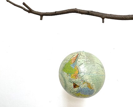 Ein verkehrter Globus hängt an einem Ast. 