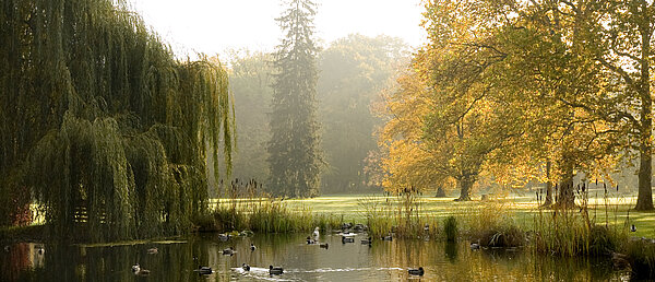 Park and gardens