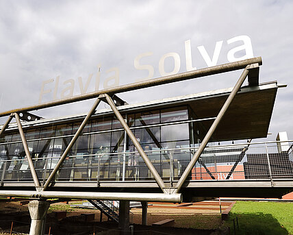 Flavia Solva