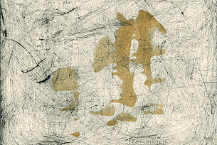 Herwig Tollschein