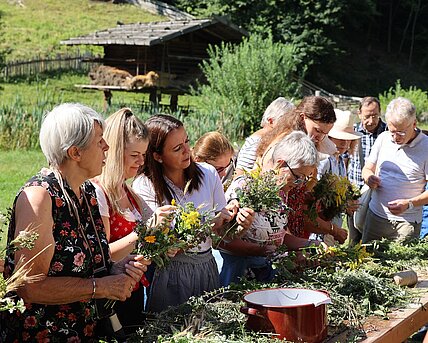Heilkräutertag 2026 im Österreichischen Freilichtmuseum Stübing