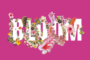 BLOOMen im Juni