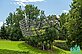 There is an ark made of living trees in the Berggarten. The 25-metre-long wooden scaffolding has served as a temporary support for plant growth for more than a decade. The wooden scaffolding was removed in 2024.