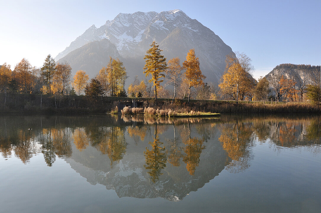 Foto vom Berg Grimming. Vor im liegt ein See in dem sich der Berg und die orange-gefärbten Bäume spiegeln.