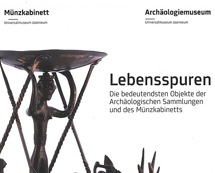 Cover der Publikation Schild von Steier, Band 24