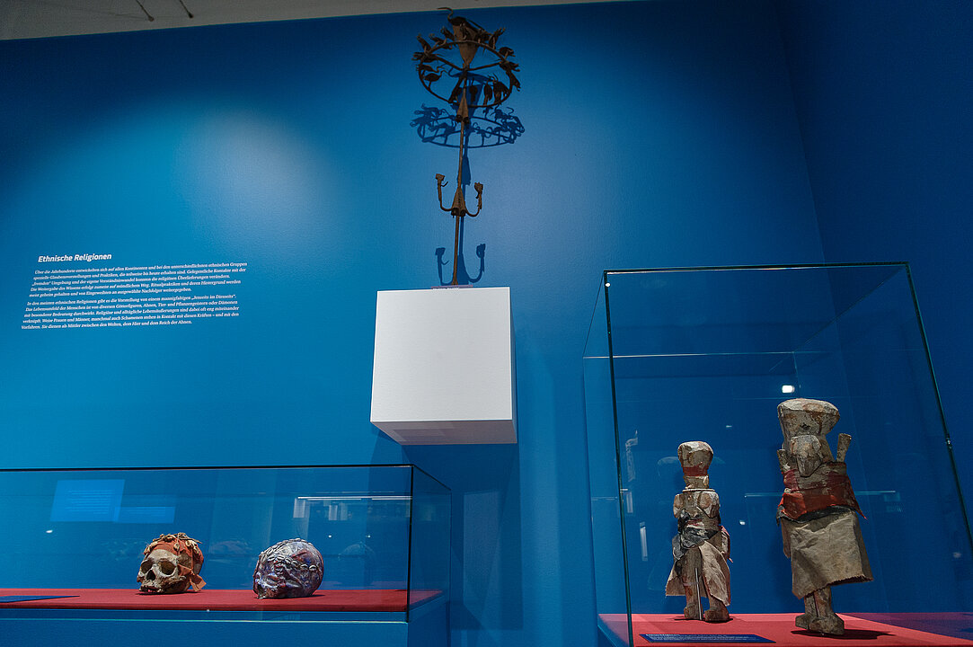 Vor einer blauen Wand stehen zwei Vitrinen. In der linken sind zwei verzierte Schädel, in der rechten abstrakte Figuren aus Holz zu sehen.