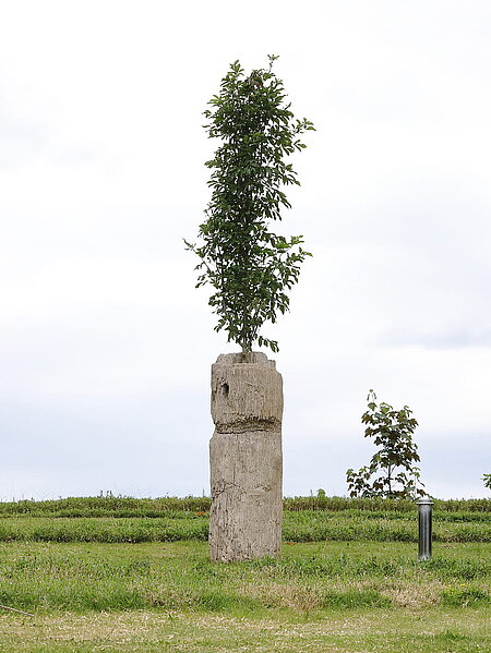 Das Kunstwerk besteht einerseites aus einem Jahrmillionen alten versteinerten Baumstamm, aus dem eine junge Manna-Esche wächst. Andererseits ist in nächster Nähe eine Zeitkapsel vergraben, in der der Künstler eine Botschaft für zukünftige Generationen konserviert hat.