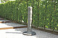 The sculpture "Figure III" stands at the foot of the artificial stairway to heaven. A small section of its own in the Pheasant Garden. 