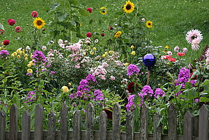 Kleine Blumen, große Wirkung