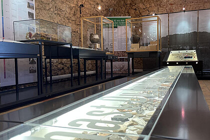 Dreharbeiten für "Wer bist du: Steiermark?" im Hengist-Museum im Schloss Wildon, Wildon