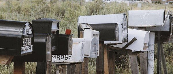 Newsletter 