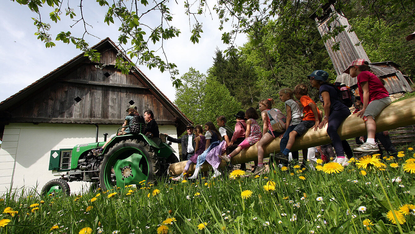Maibaum mit Kindern