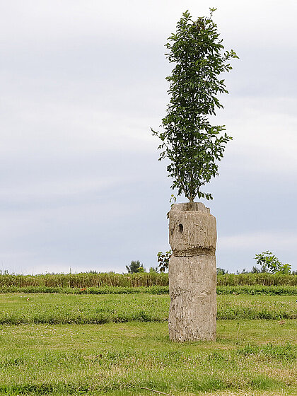 Christian Kosmas Mayer: Zeit, Zuwendung und Raum, 2025