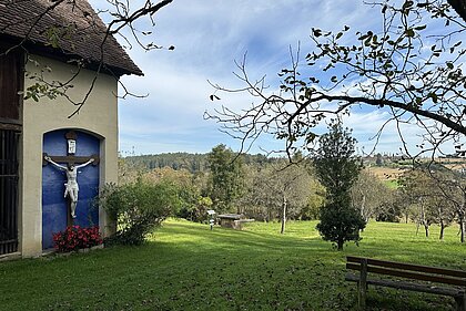 View of the Schenkkeller meadow at Schloss Stainz.