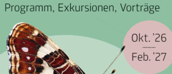 aktueller Programmfolder