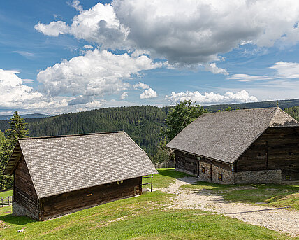 Rosegger-Geburtshaus Alpl: Kluppeneggerhof