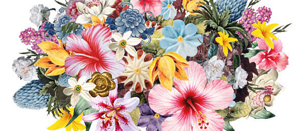 Jahresticket: Museen erleben!