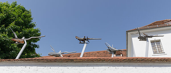 Manfred Erjautz: Pflugflug
