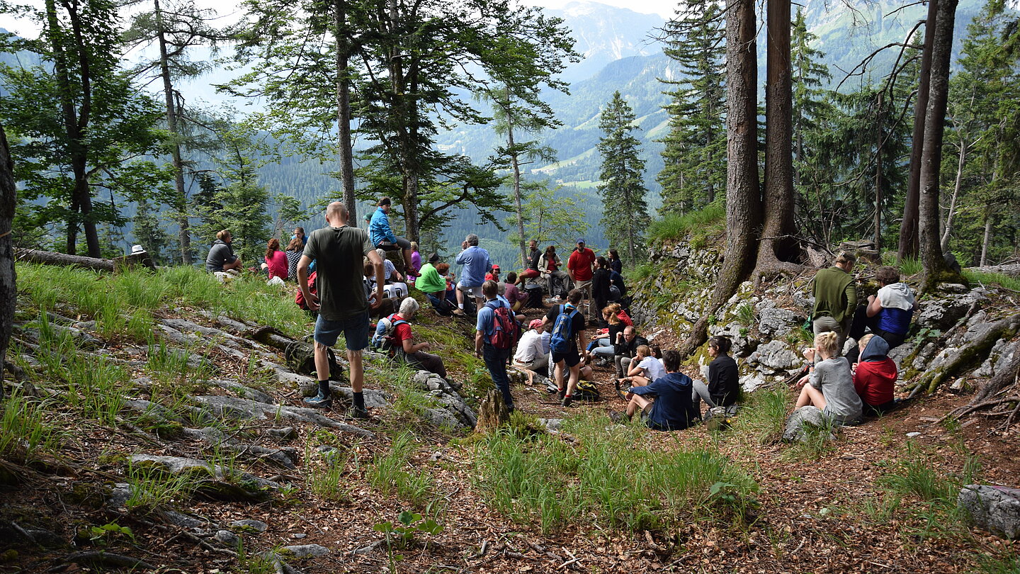 Im Wald sitzen und stehen Menschen. Im Hintergrund sieht man eine Berglandschaft.
