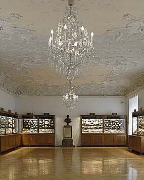 View of the stucco hall in mineralogy in the Natural History Museum.