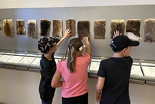 Jägerlatein für „schlaue Füchse“