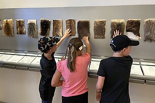 Jägerlatein für „schlaue Füchse“