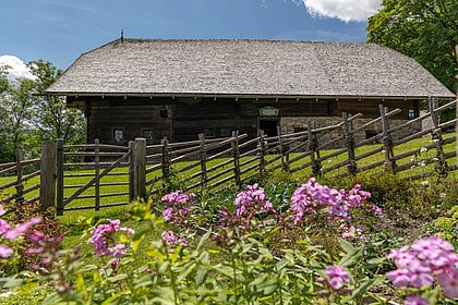 Blick vom Garten mit hellrosablühenden Phlox über den Bänderzaun zum Geburtshaus.