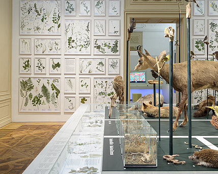 Naturkundemuseum