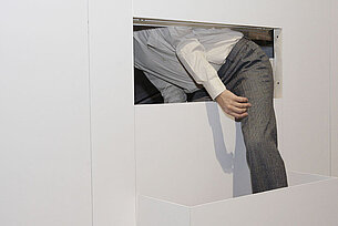 Curating and Studying