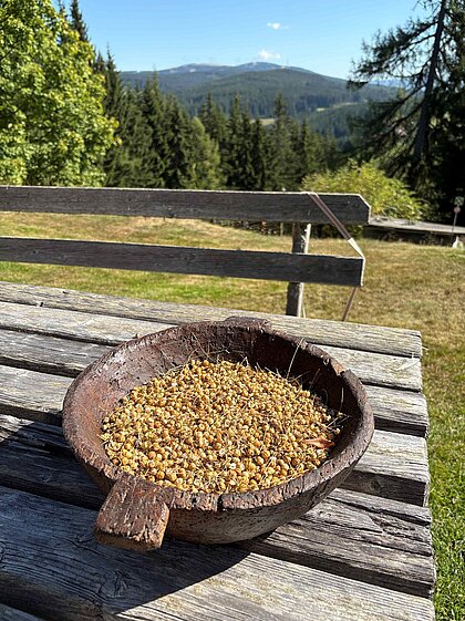 Samenkapseln in Holzschale.