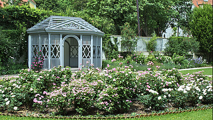 In the background you can see the pavilon in the Master´s Garden in the park of Schloss Eggenberg. In the foreground are flowerbeds with roses.