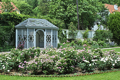 Im Hintergrund ist das Salettl im Herrschaftsgartel im Park vom Schloss Eggenberg zu sehen. Im Vordergrund sind Blumenbeete mit Rosen.