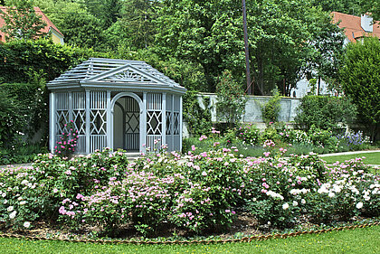 In the background you can see the pavilon in the Master´s Garden in the park of Schloss Eggenberg. In the foreground are flowerbeds with roses.