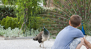 Tierisches Eggenberg