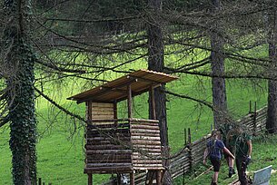 Jagd und Natur - I g'hör dazua