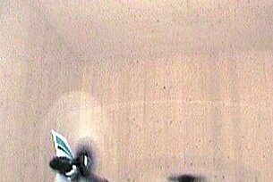 Catch me!