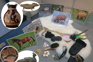 Safari im Archäologiemuseum