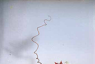 Ikebana