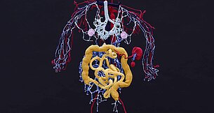 Knitted Anatomy