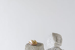 Erwin Wurm