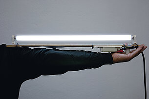 Pedro Cabrita Reis. True Gardens #6 (Graz)