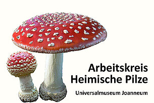 Jahresrückblick 2023 des Arbeitskreises Heimische Pilze