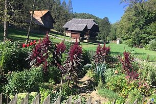 Naturschaugartentag 2023