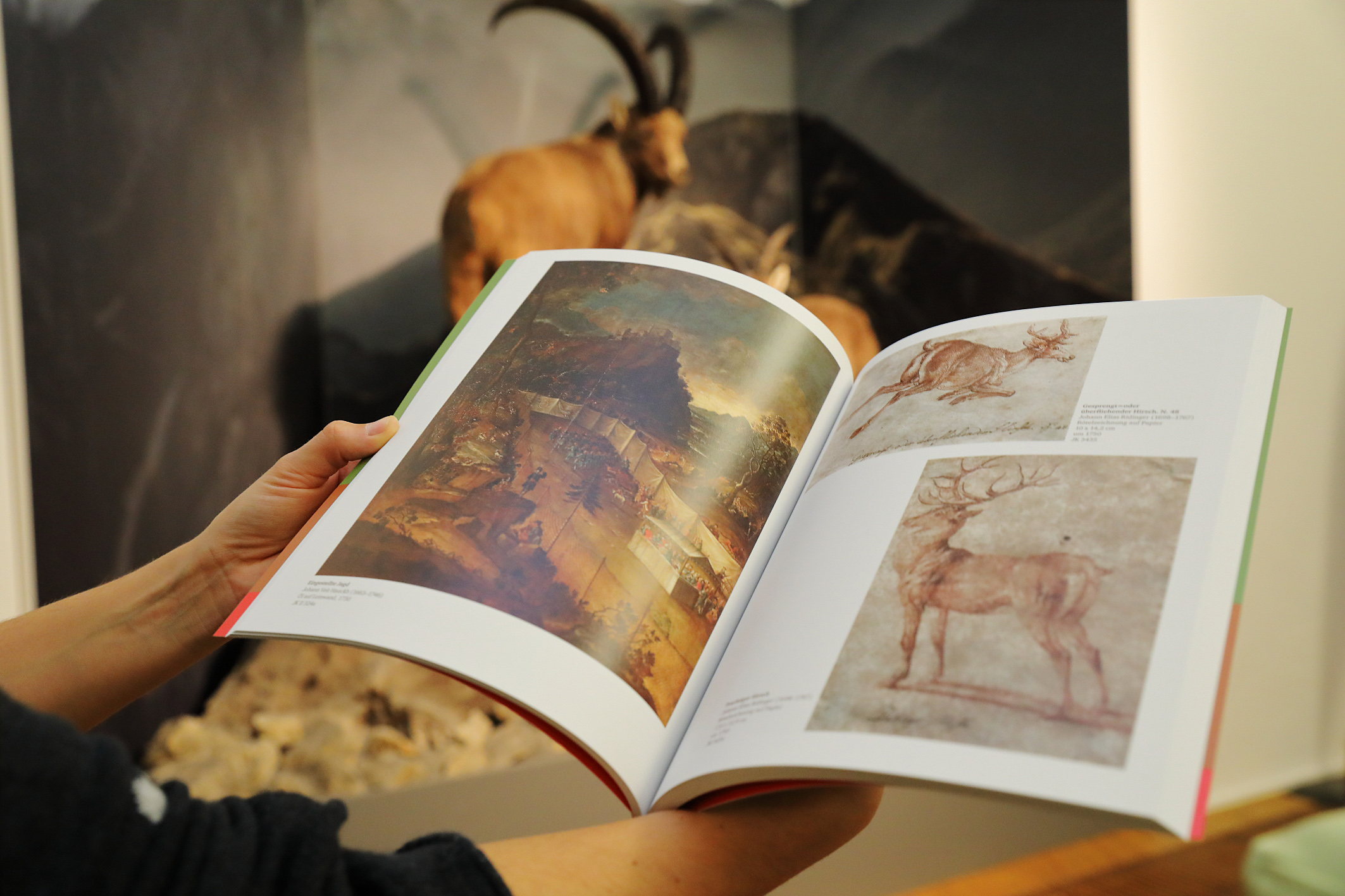 Ausstellungen und Projekte 20 Museen und 1 Zoo in Graz und der Steiermark