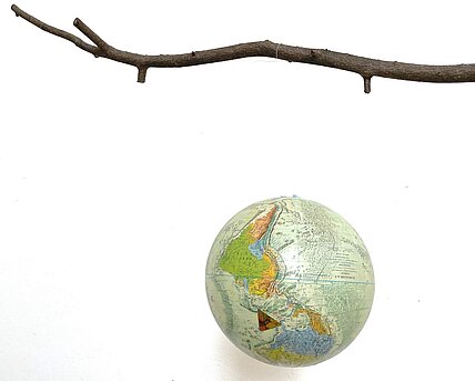 An upside-down globe hangs from a branch.  