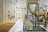 Naturkundemuseum